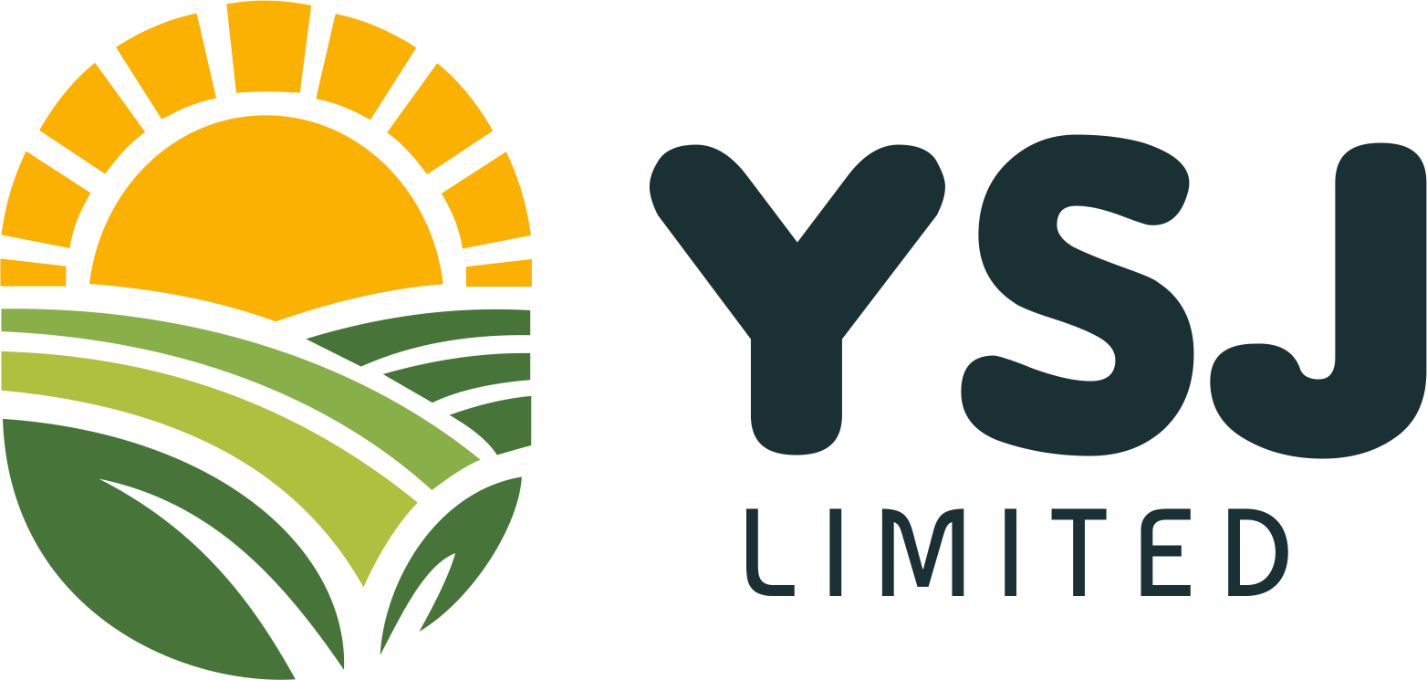 YSJ Limited